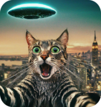 Picture of UFO T-shirt, UFO Cat Selfie T-shirt